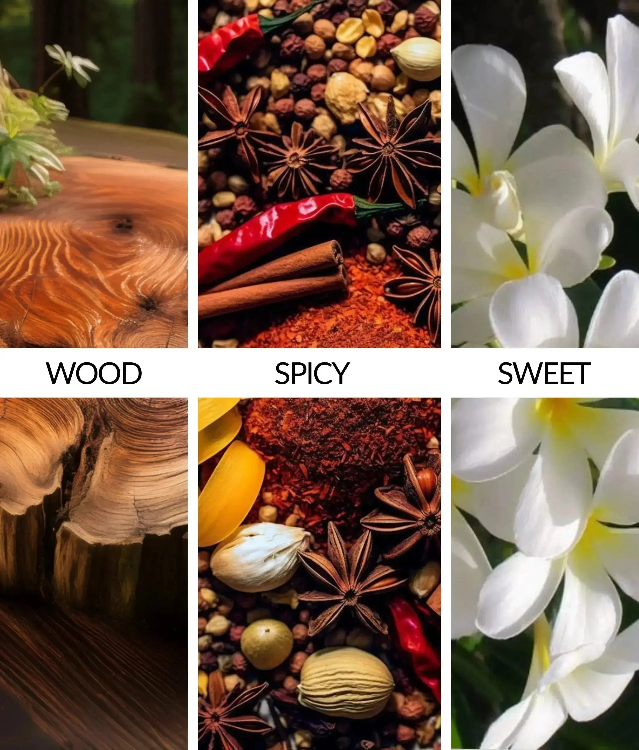 Flava Couture Turbo Scent Spray Can - Orchid Flava