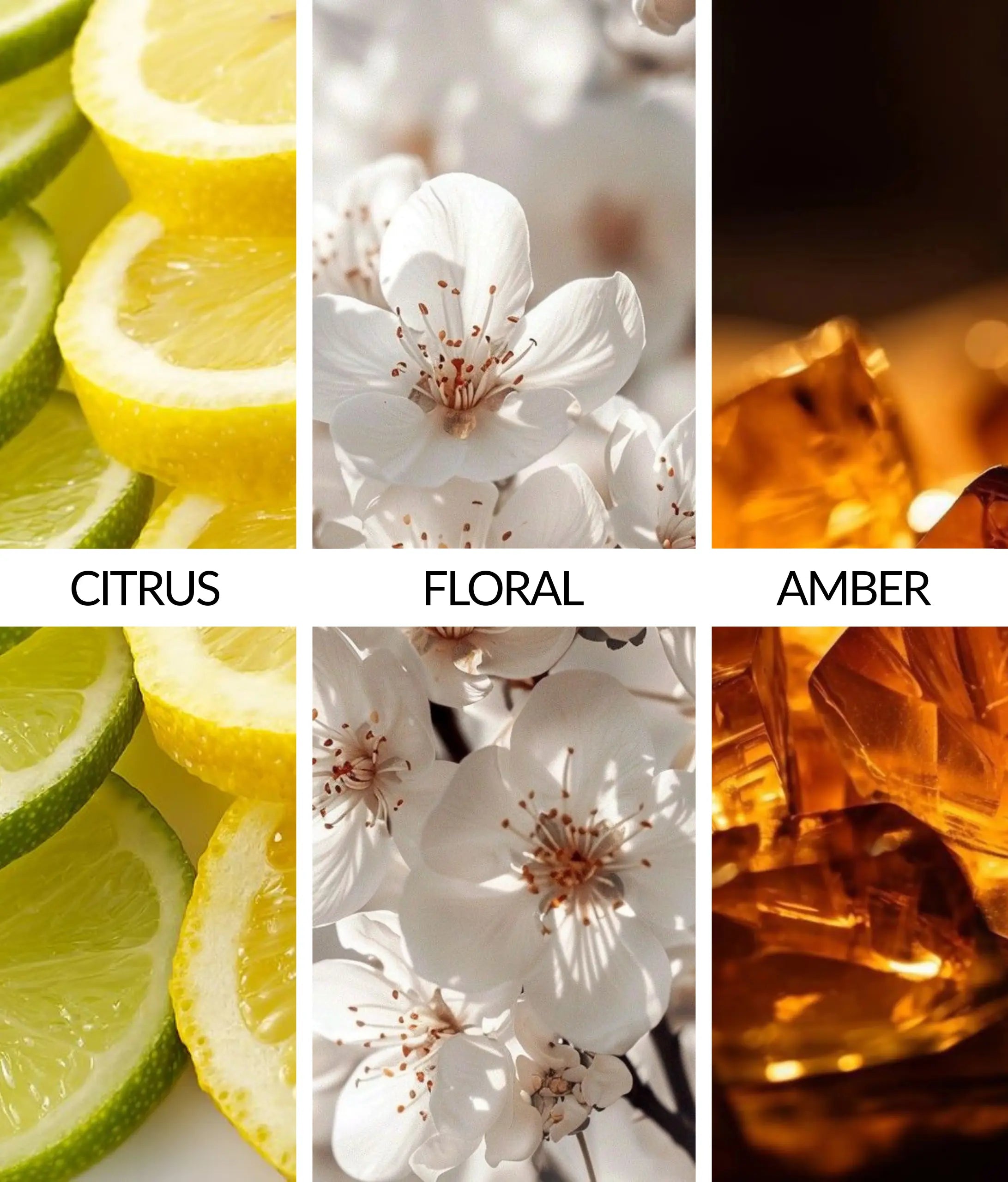 Flava Couture Scent Tin - Porfino Flava