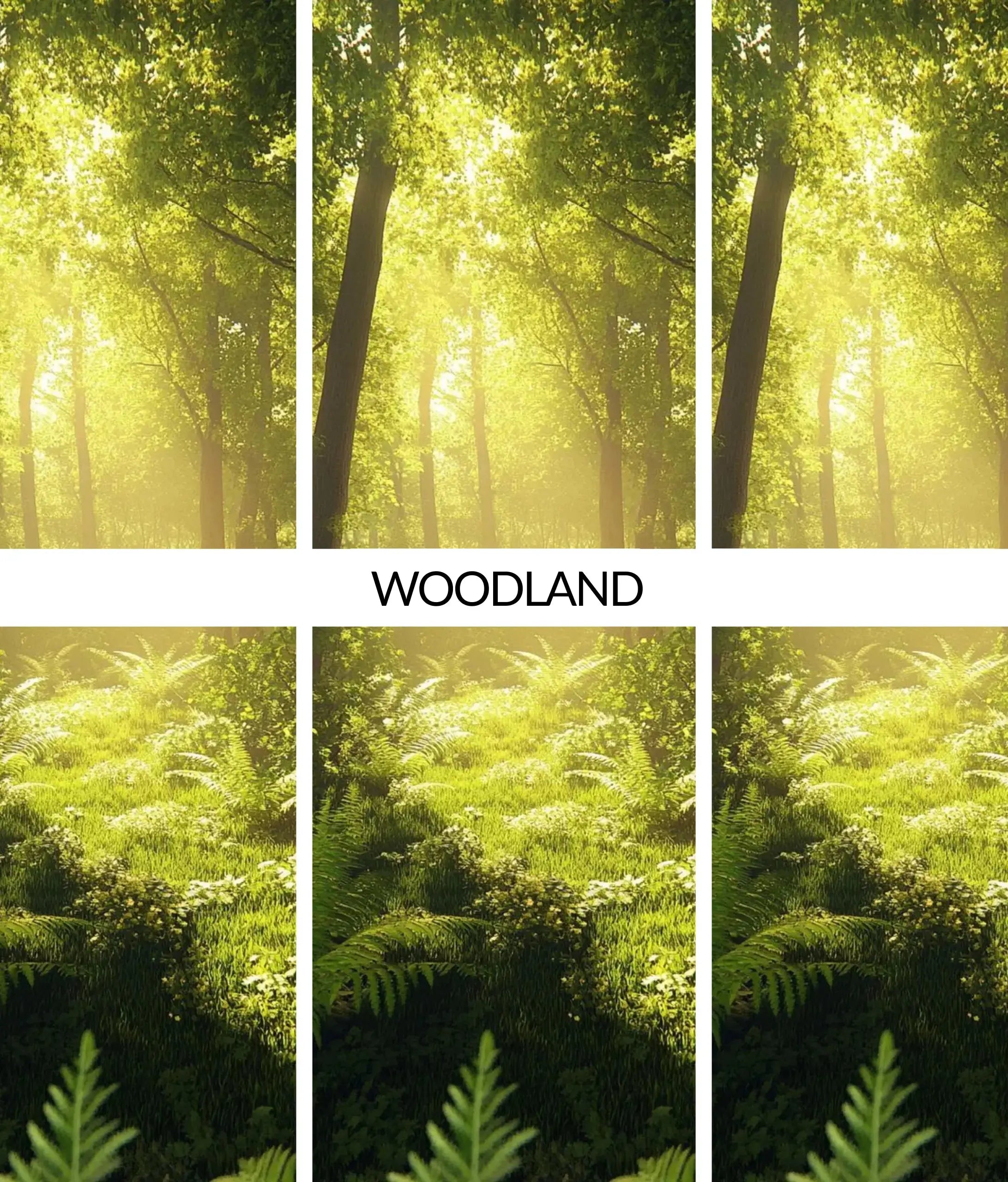 Flava Wood Scent Air Freshener - Woodland Flava