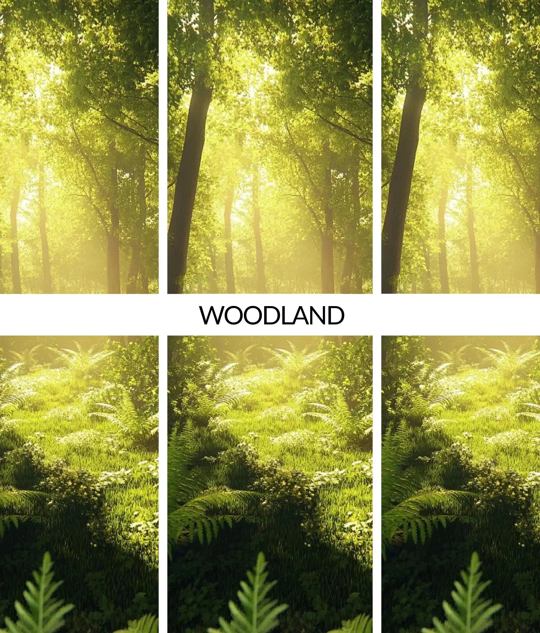 Flava Wood Scent Air Freshener - Woodland Flava