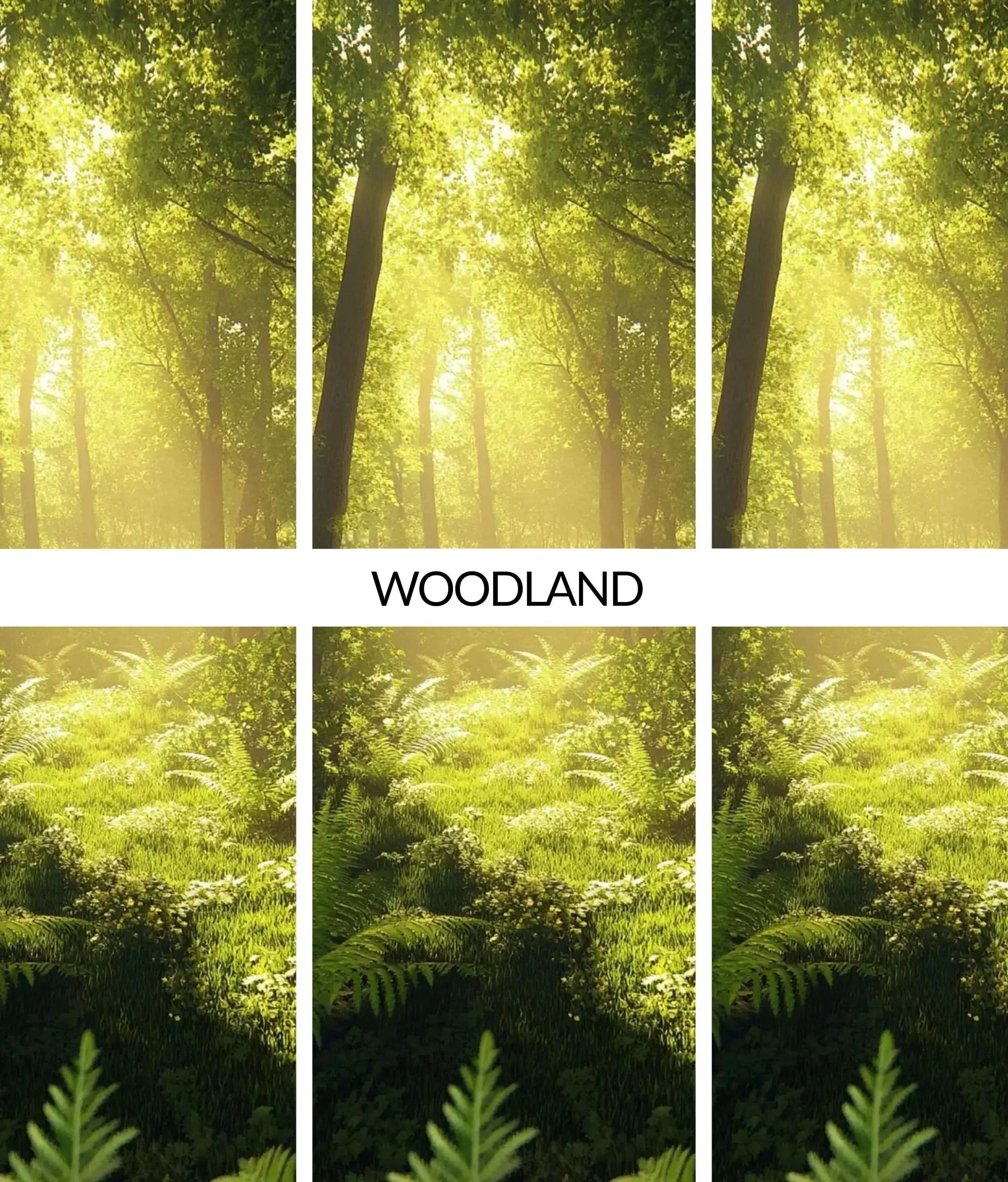 Flava Wood Scent Air Freshener - Woodland Flava