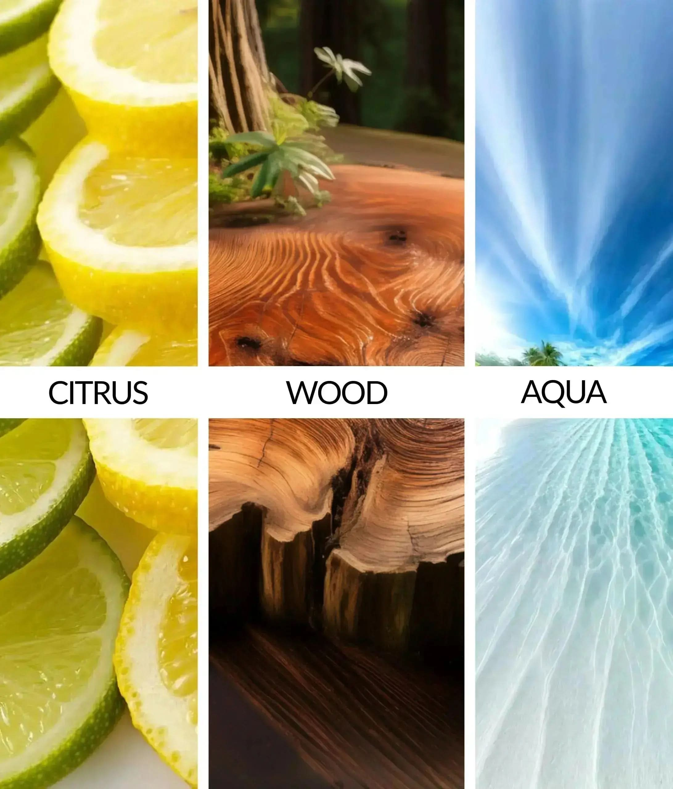 Flava Couture Scent Tin - Savage Flava